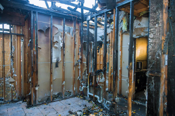 Professional Fire Damage Removal technician working in Fairfax, MN