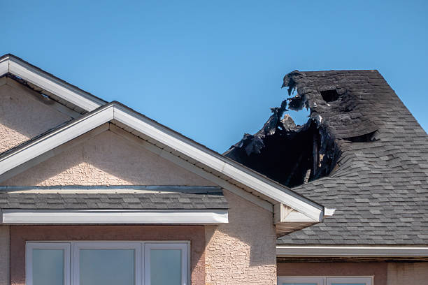 Top rated local Fire Damage Removal specialists in Fairfax, MN